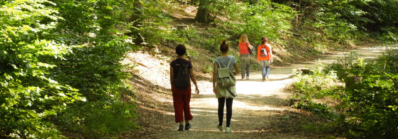 Vier Menschen spazieren durch den Wald.