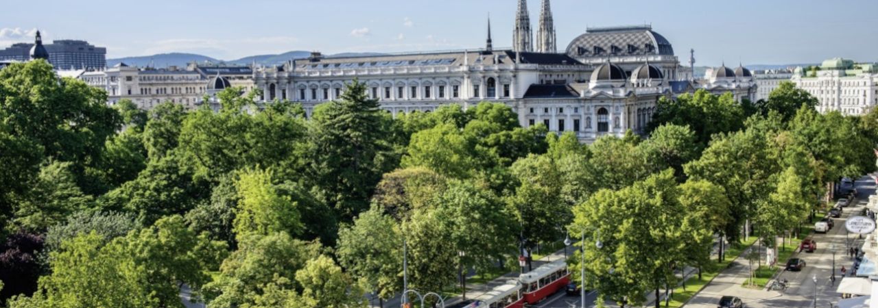 Drveće i zelene površine pomažu u smanjenju temperature, apsorpciji CO2, zadržavanju kišnice i poboljšanju kvaliteta zraka.